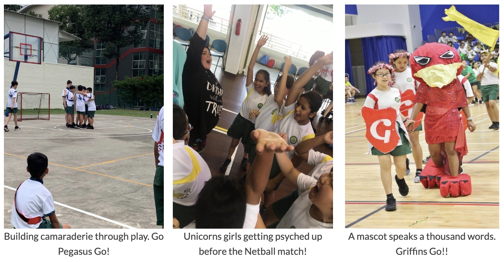 Three school sports event scenes: students hugging on a court, girls cheering indoors, and a red Griffin mascot parading in a gym.